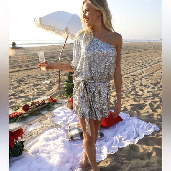 Show Me Your MuMu Dresses & Skirts - Show me your mumu Trish silver sequins mini one shoulder lined dress Size Medium